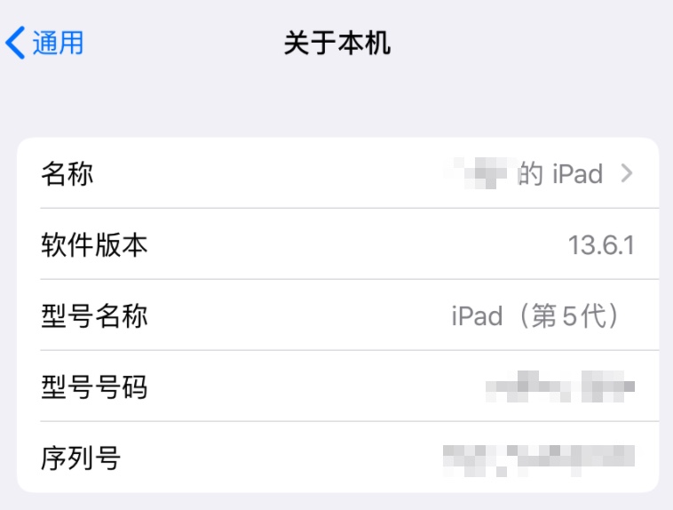 iPad-13.6.1